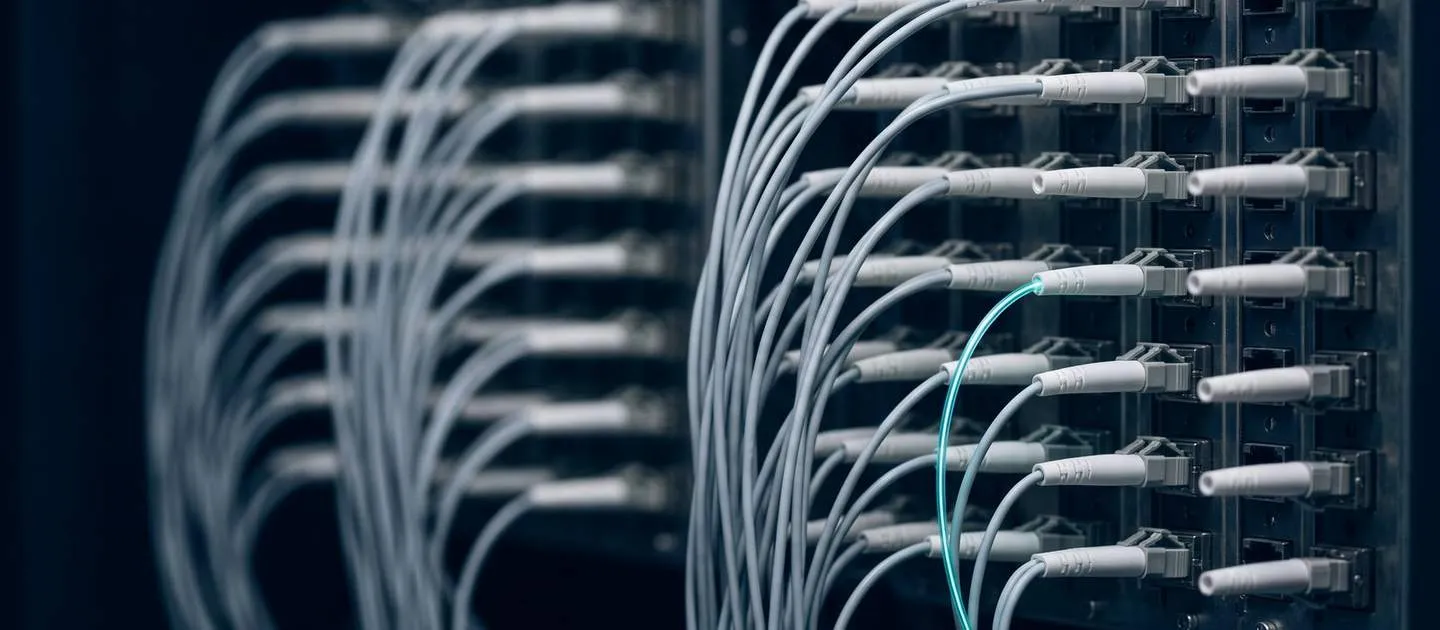 Cables de fibra conectados a un panel de distribución; uno de ellos lleva la señal